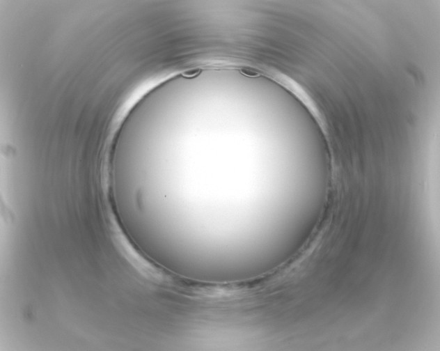 X0000091201195200708091034
