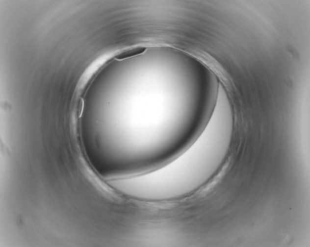X0000091201196200708091034