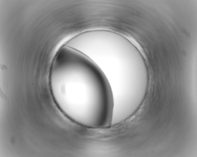 X0000091201197200708091034