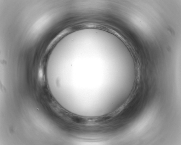 X0000091201198200708091034