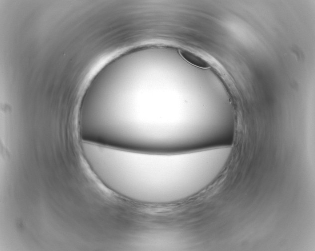 X0000091201199200708091034