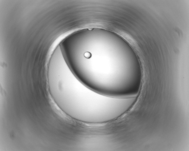 X0000091201200200708091034