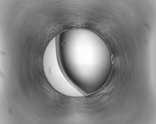 X0000091201202200708091034