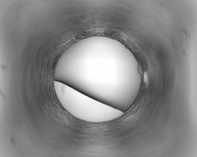 X0000091201203200708091034