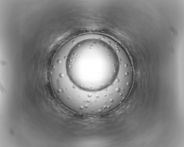 X0000091201205200708091034