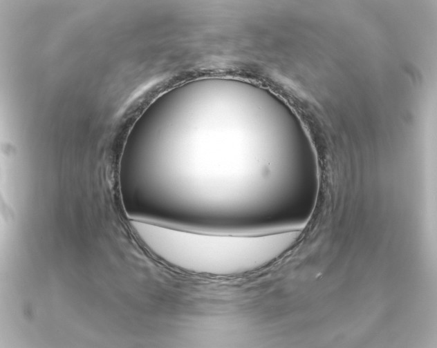 X0000091201206200708091034