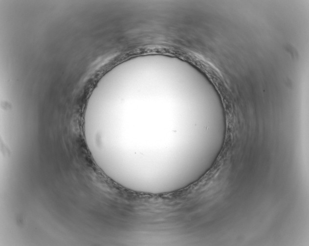 X0000091201207200708091034