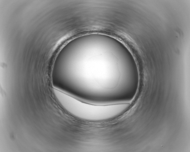 X0000091201210200708091034