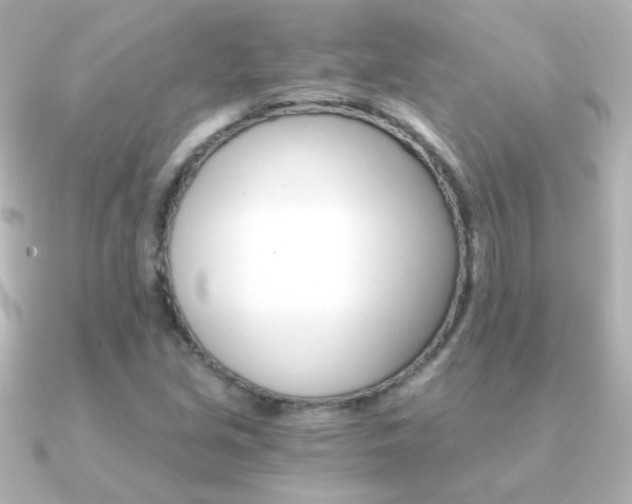 X0000091201213200708091034