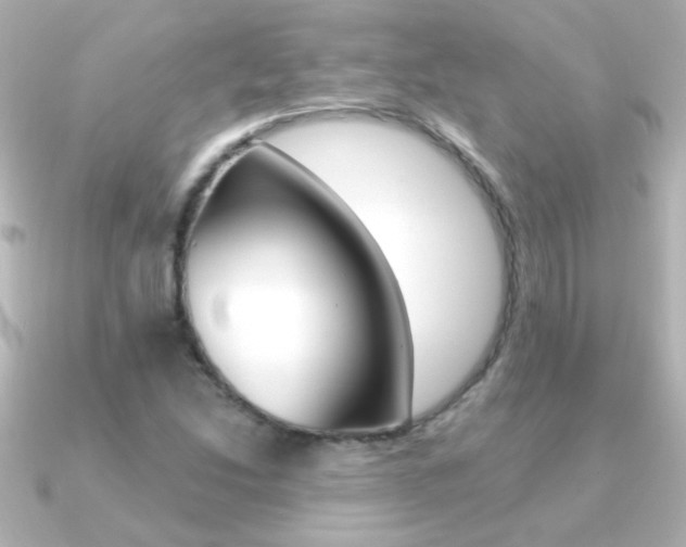 X0000091201214200708091034