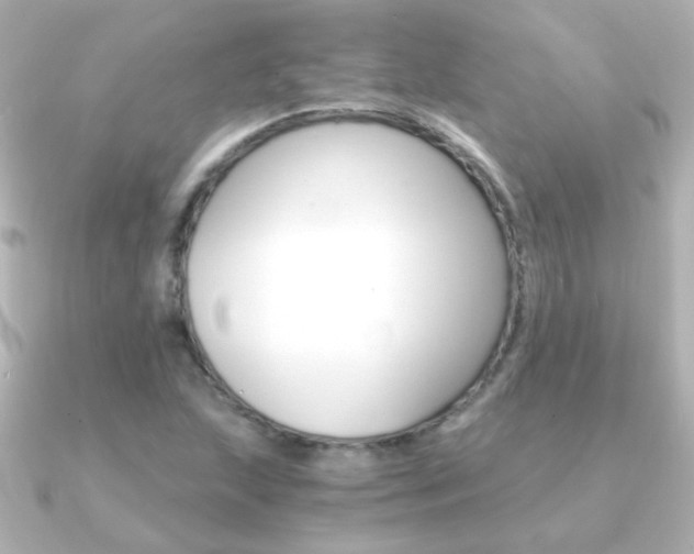 X0000091201215200708091034