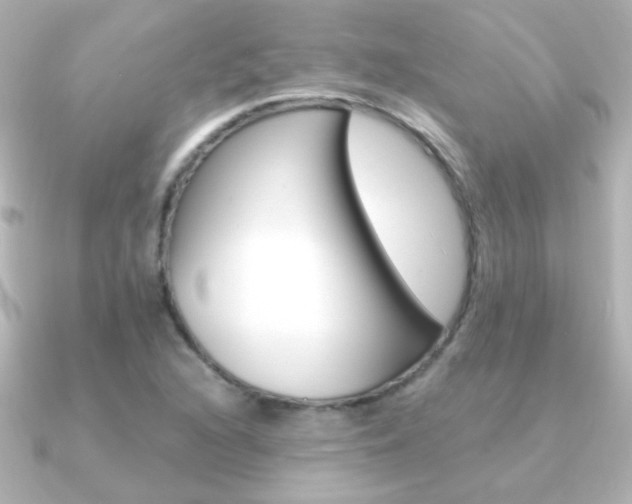 X0000091201216200708091034