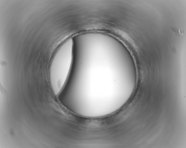 X0000091201217200708091034