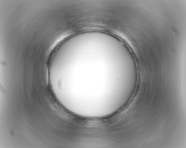 X0000091201219200708091034