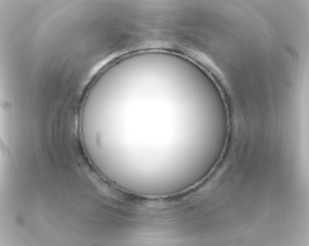 X0000091201220200708091034