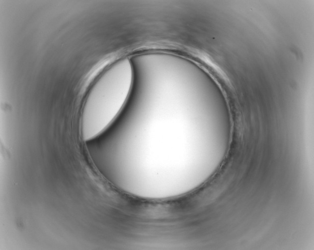 X0000091201221200708091034