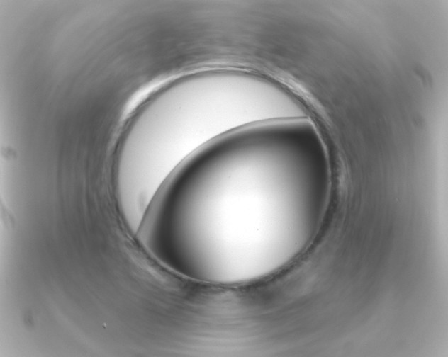 X0000091201222200708091034