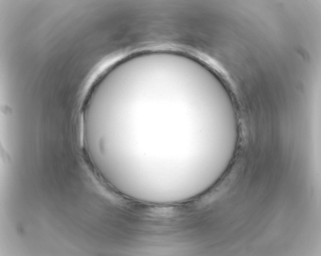 X0000091201223200708091034