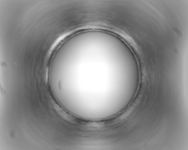 X0000091201224200708091034