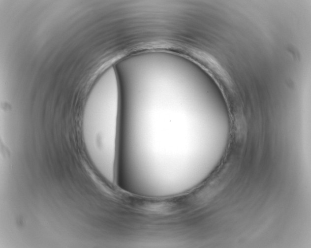 X0000091201225200708091034