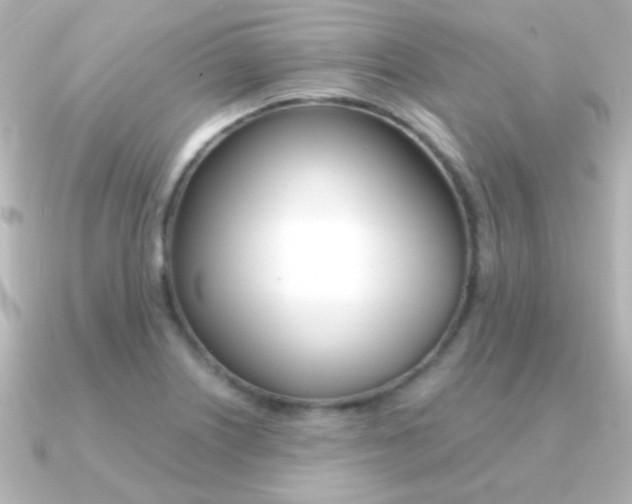 X0000091201226200708091034