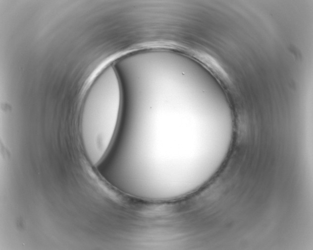 X0000091201228200708091034