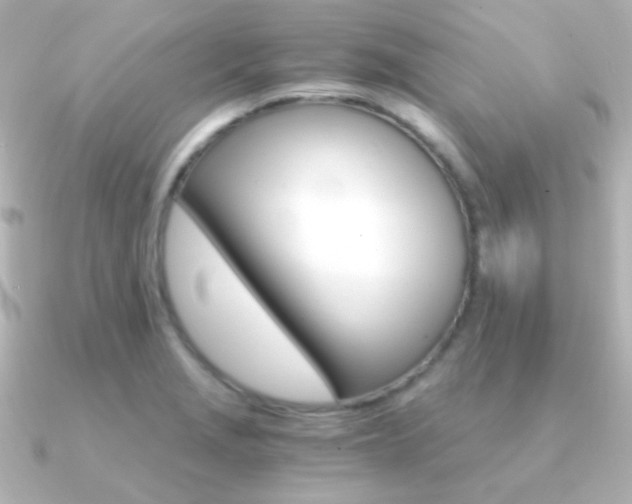 X0000091201229200708091034