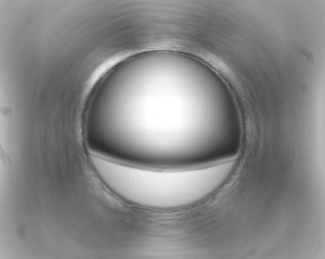 X0000091201230200708091034