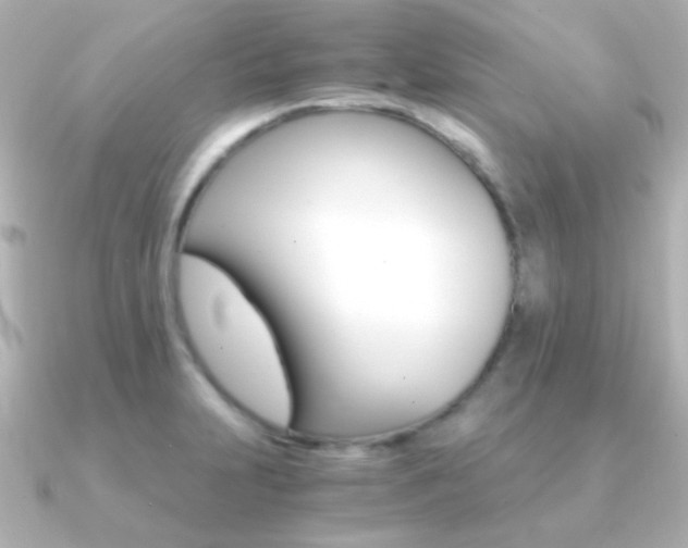 X0000091201231200708091034
