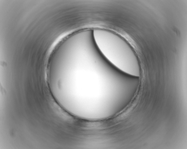X0000091201232200708091034