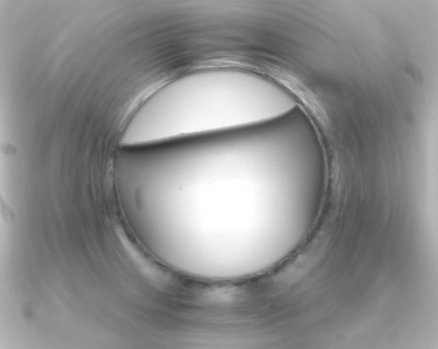 X0000091201233200708091034