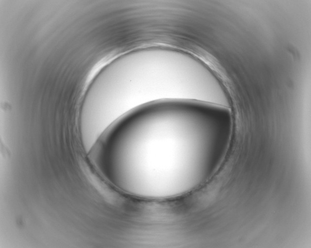 X0000091201234200708091034
