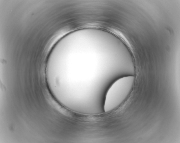 X0000091201235200708091034