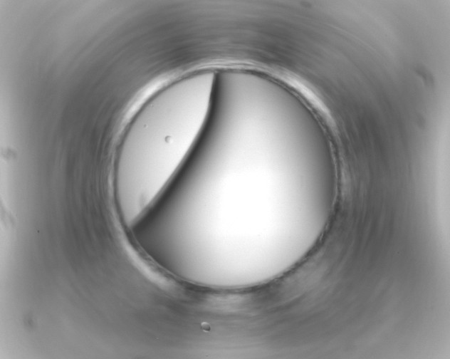 X0000091201237200708091034