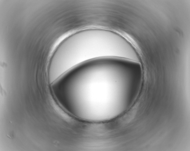 X0000091201238200708091034