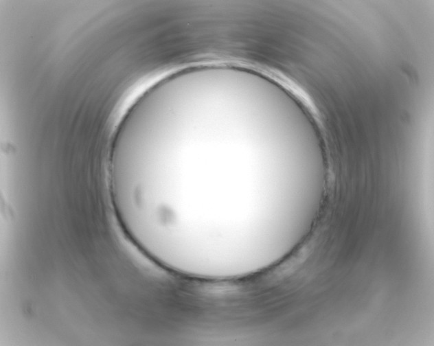 X0000091201239200708091034
