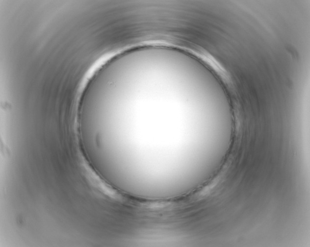 X0000091201240200708091034