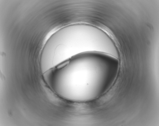 X0000091201242200708091034