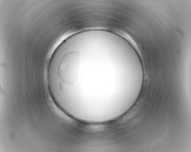X0000091201243200708091034