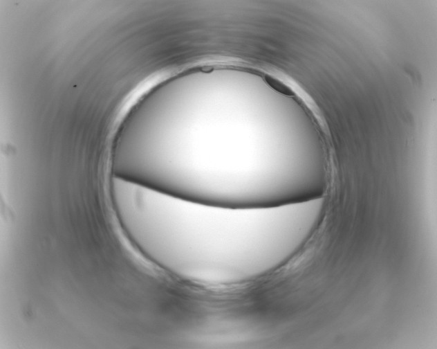 X0000091201245200708091034
