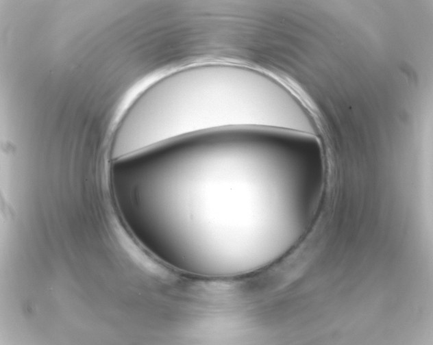 X0000091201246200708091034