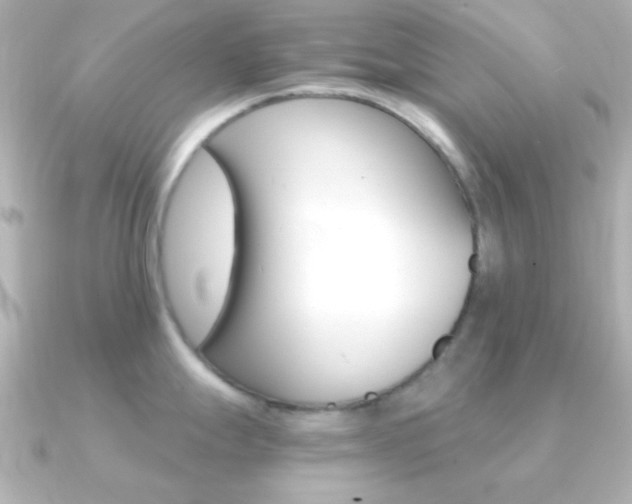 X0000091201247200708091034