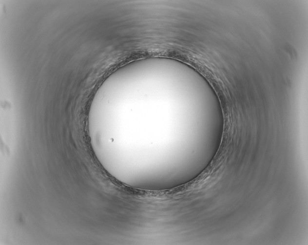X0000091201249200708091034