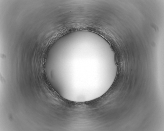 X0000091201250200708091034