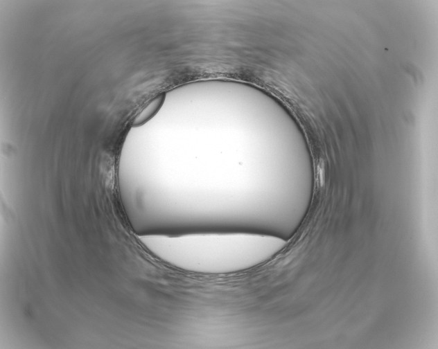 X0000091201251200708091034