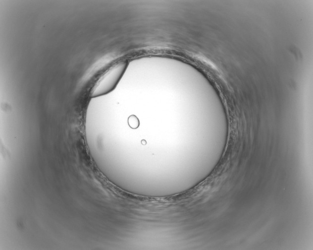 X0000091201255200708091034