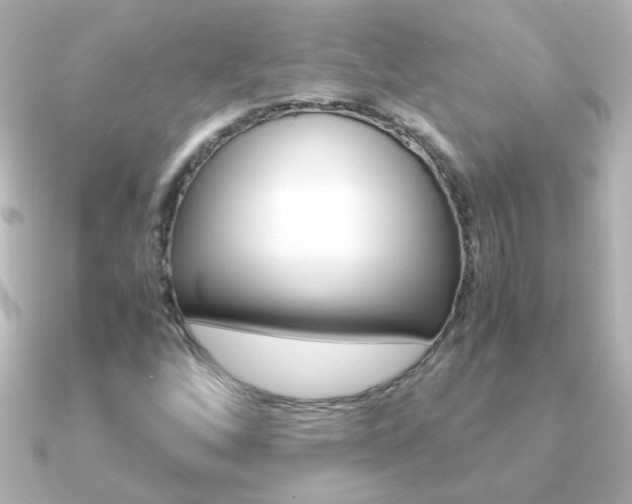 X0000091201256200708091034