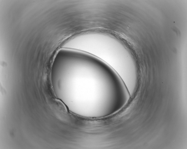 X0000091201257200708091034