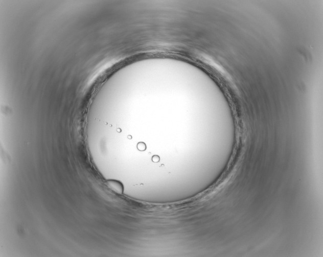 X0000091201259200708091034