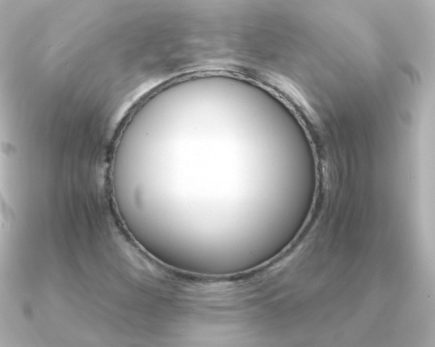 X0000091201260200708091034